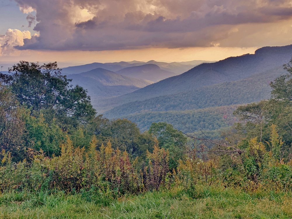 Mary Cade Mainwaring - Town and Mountain Realty