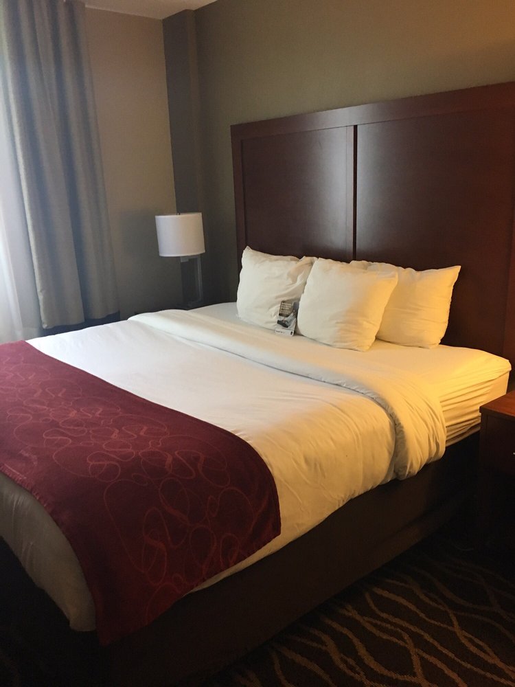 Comfort Suites Tampa Airport North Photo