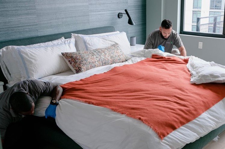 M&M Bedbug Inspectors