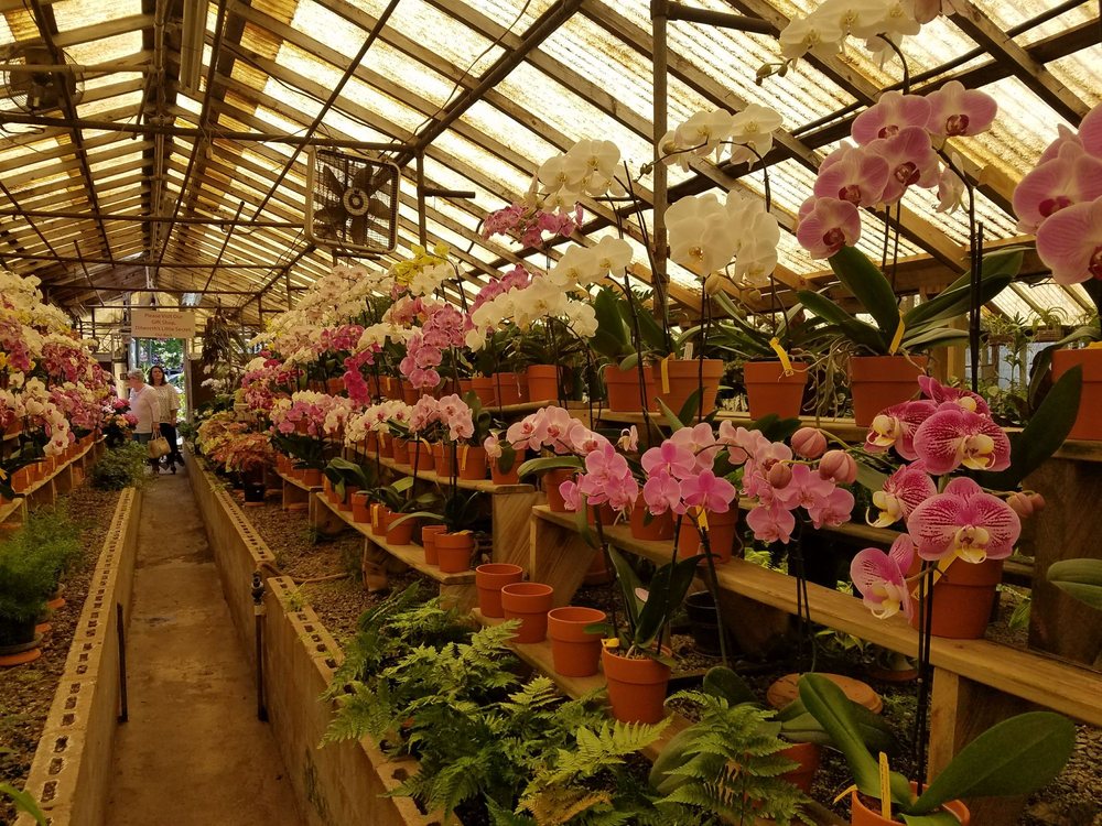 Campbell’s Greenhouses 40 Photos & 25 Reviews Nurseries & Gardening