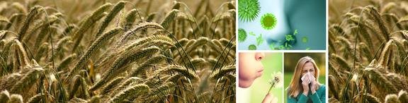 image of business Central Valley Allergy & Asthma Medical Association