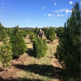 photo of pipe creek christmas tree farm pipe creek tx united states - Pipe Creek Christmas Tree Farm photo of pipe creek christmas tree farm pipe creek tx united states - Pipe Creek Christmas Tree Farm