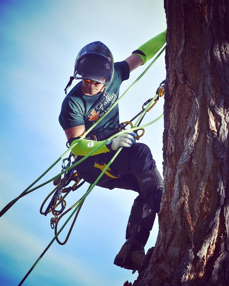 Fielding Tree & Shrub Care