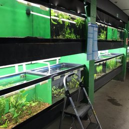 photos for that fish