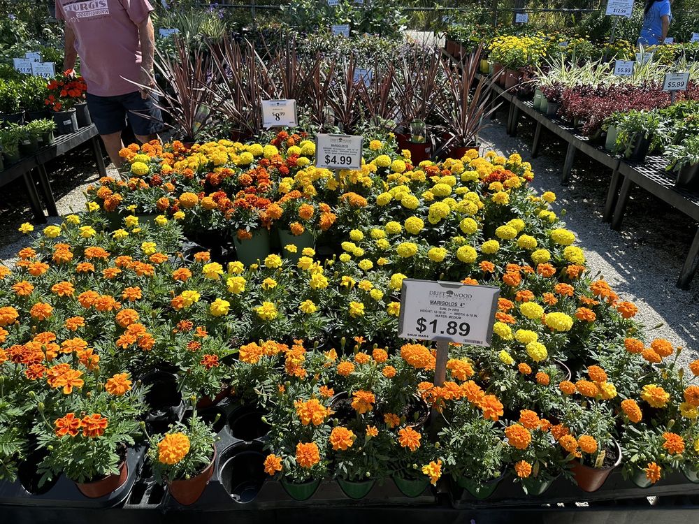 Driftwood Garden Center