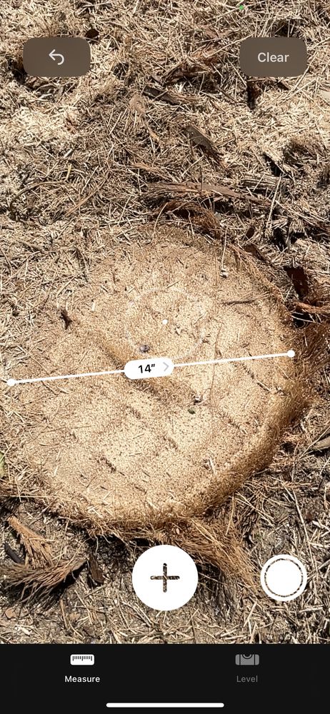 Expert Stump Removal