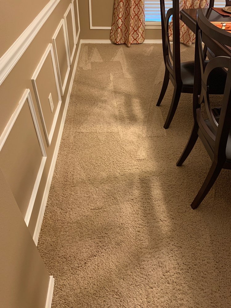 Oxi Fresh Carpet Cleaning
