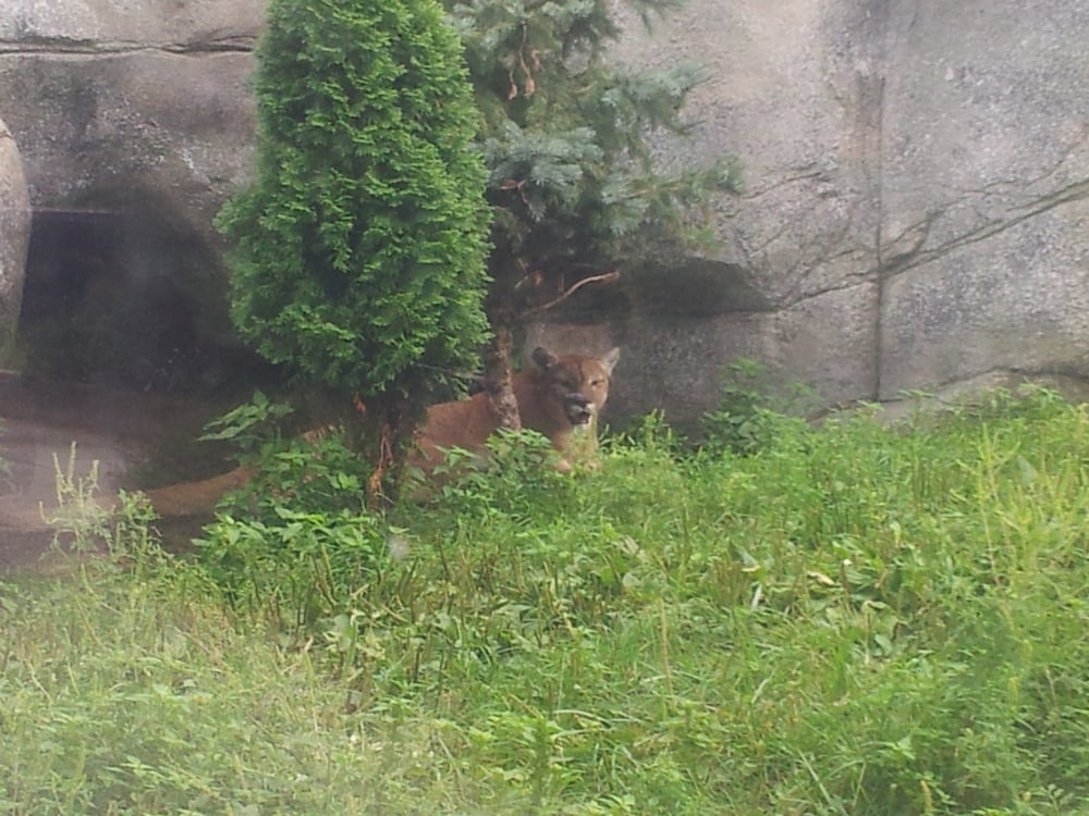 Washington Park Zoo Zoos 115 Lakeshore Dr Michigan City, IN Yelp