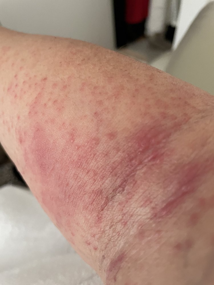 image of business Fonda Jiang, MD