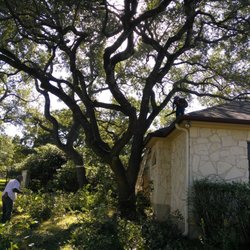 Hernandez Landscapes Tree Services Austin Tx Phone Number Yelp Photo Of Hernandez Landscapes Austin Tx United States