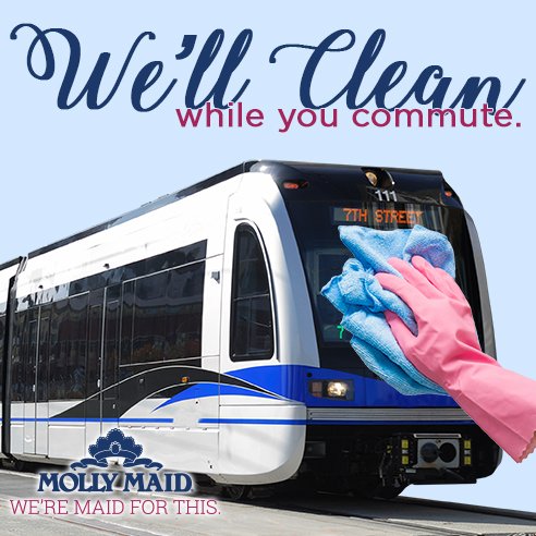 Molly Maid - Charlotte