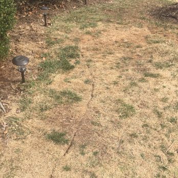 Affordable Lawn Sprinklers 21 Photos 23 Reviews Lighting Photo Of Affordable Lawn Sprinklers Vienna Va United States Example The