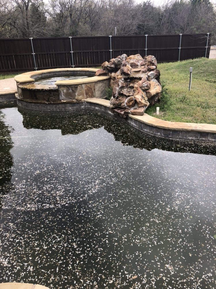John Darr Pools