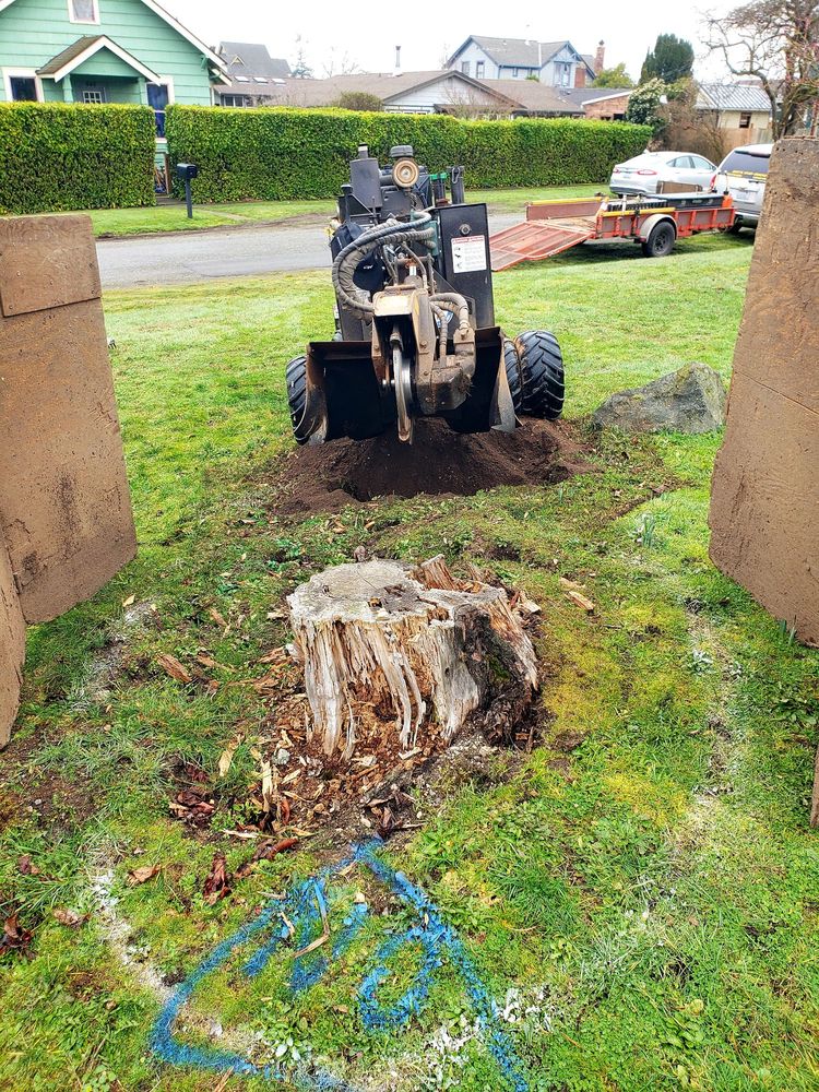 Brett's Stump Grinding