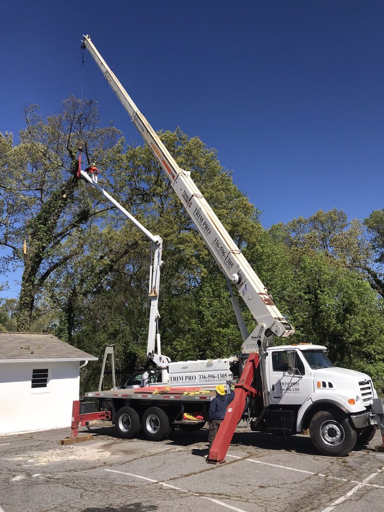 Trim Pro Tree & Landscaping