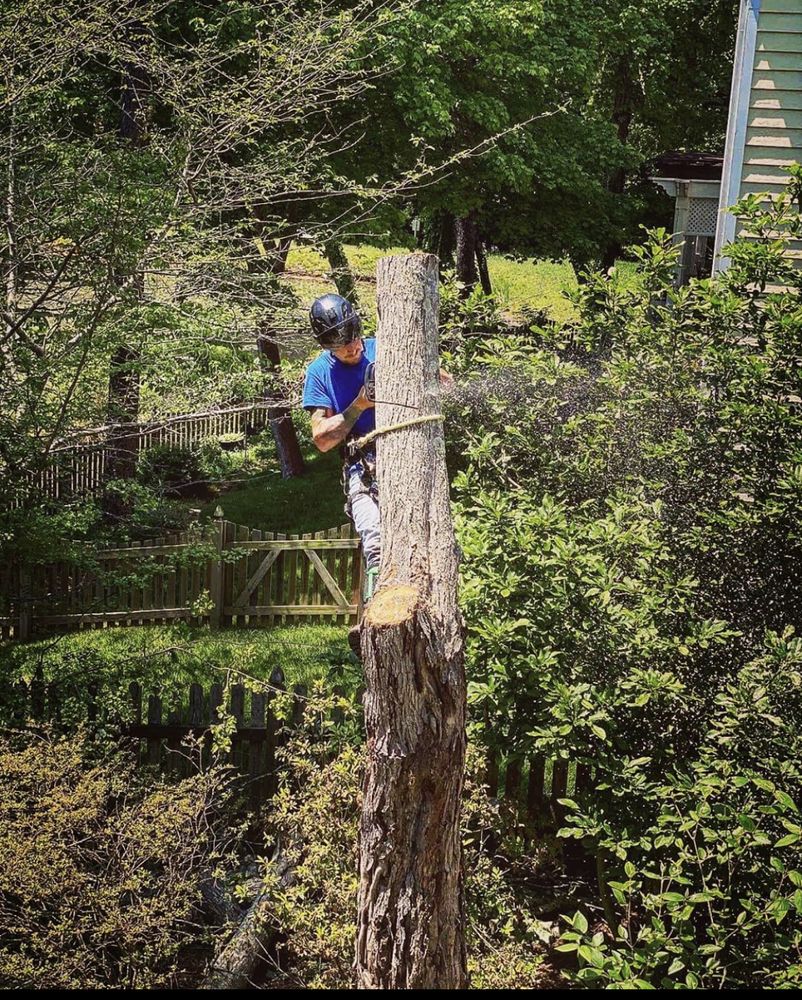 West Edge Landscapes