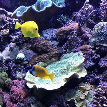 l aquàrium barcelona 195