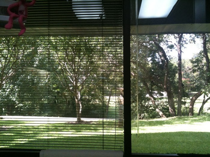 image of business Louis Grigsby, DDS