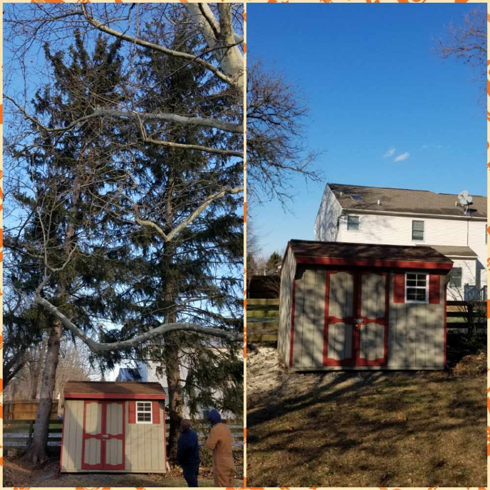 Burgey's Tree Service