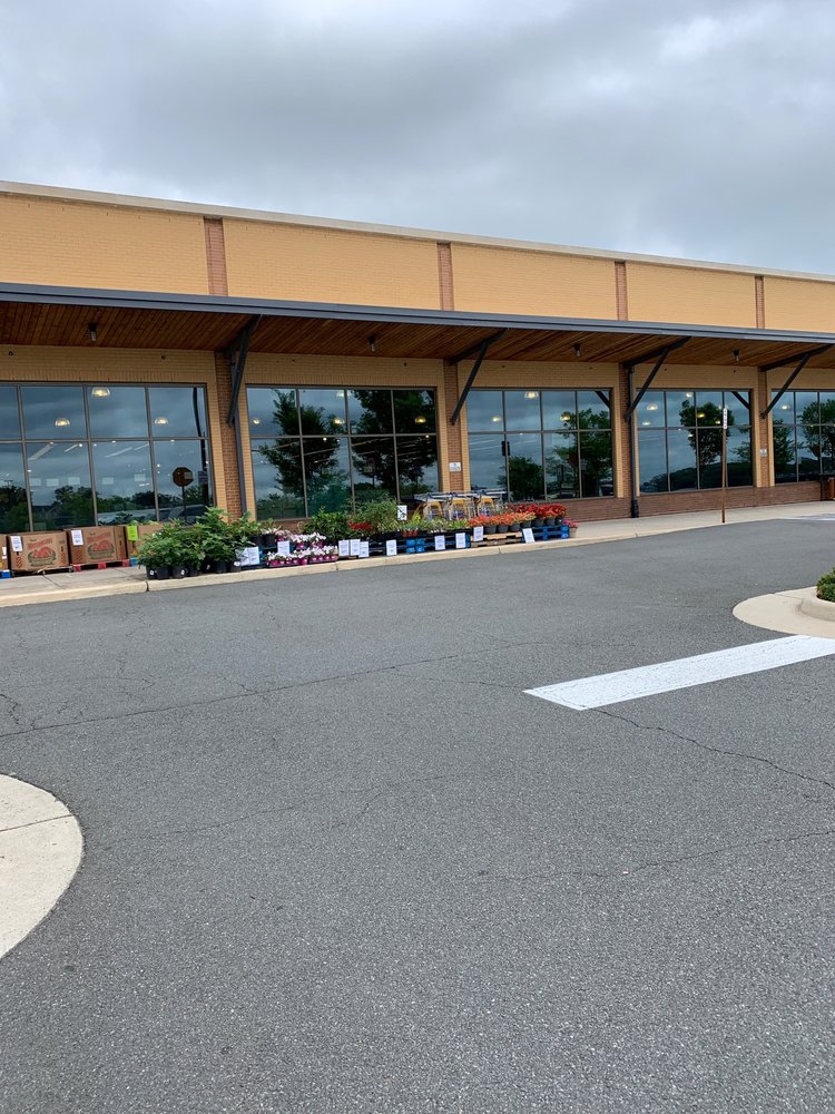 Whole Foods Market