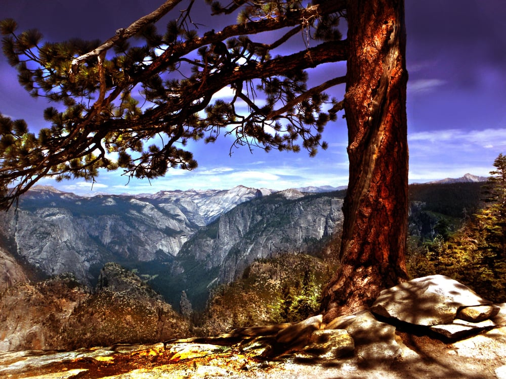 David Brantley Photography