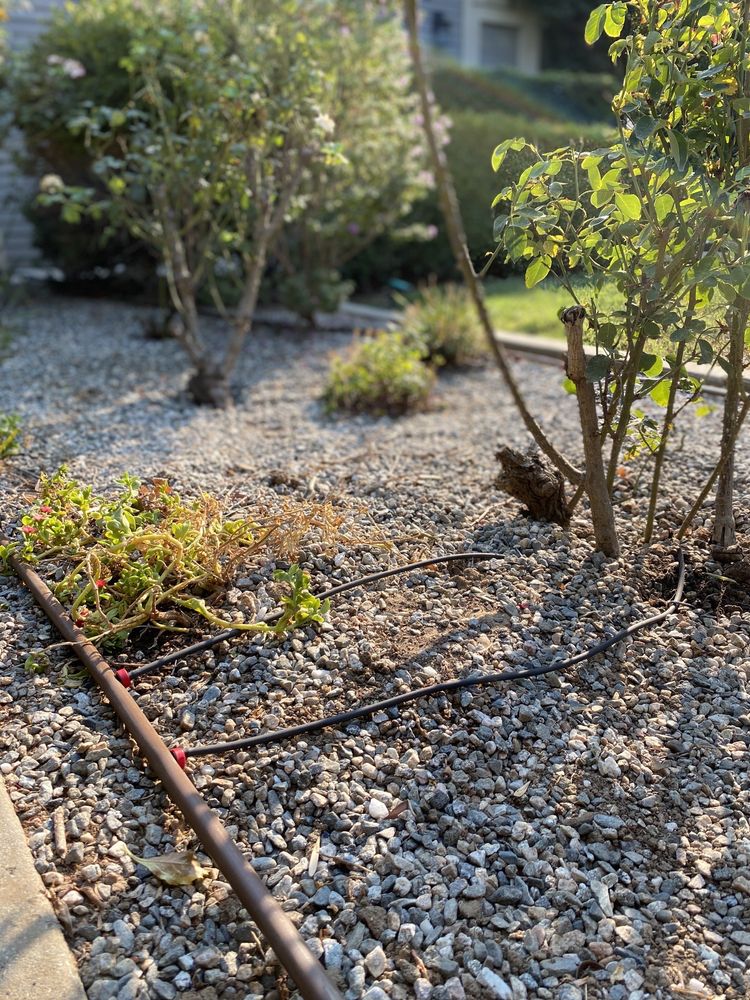 America's Irrigation & Landscaping
