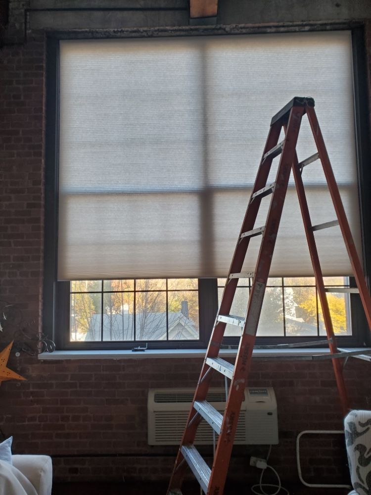 image of business Paradis Blinds & Shades