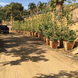 Quality Growers 69 Photos 12 Reviews Nurseries Gardening Photo Of Quality Growers Corona Ca United States