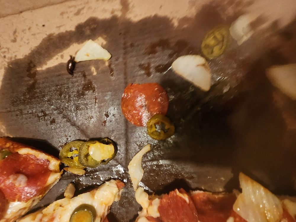 Domino's Pizza Domino's Pizza