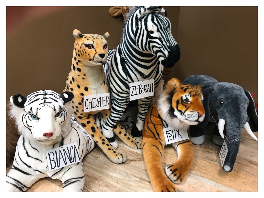 image of business Brentwood Pediatrics