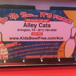 Alley cats coupons arlington