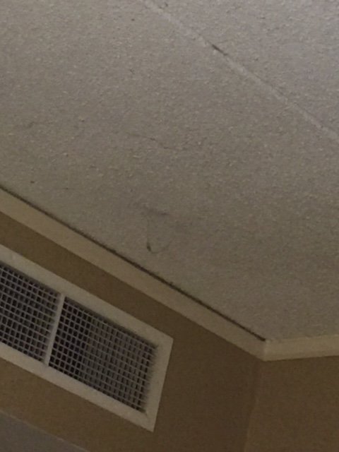Cobwebs And Dust Strings Hanging From Ceiling Yelp