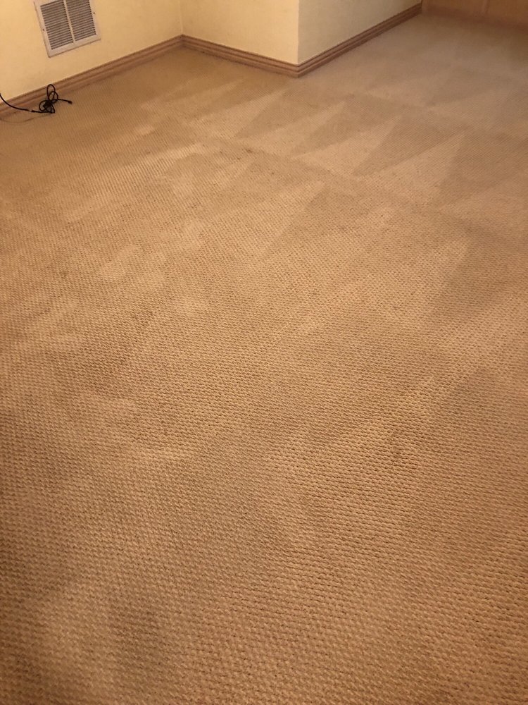 Oxi Fresh Carpet Cleaning