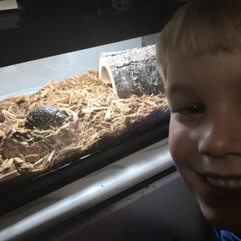 Predator’s Reptile Center - 41 Photos & 53 Reviews - Pet Stores - 1816