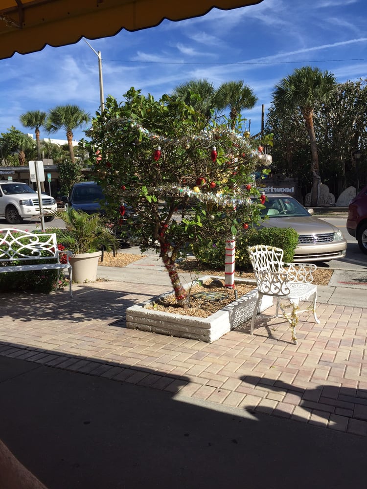 Lemon Tree 66 Photos & 162 Reviews Breakfast & Brunch 3125 Ocean