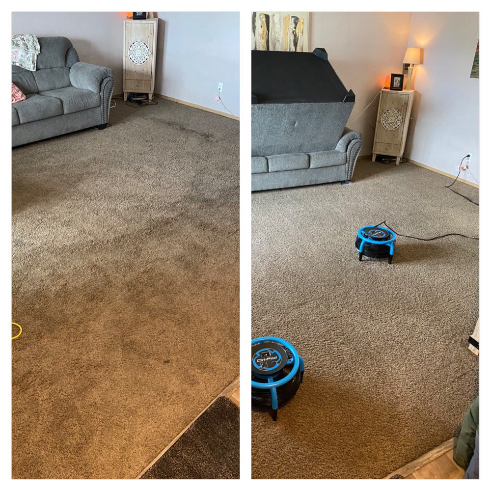 Pristine Carpet Cleaning