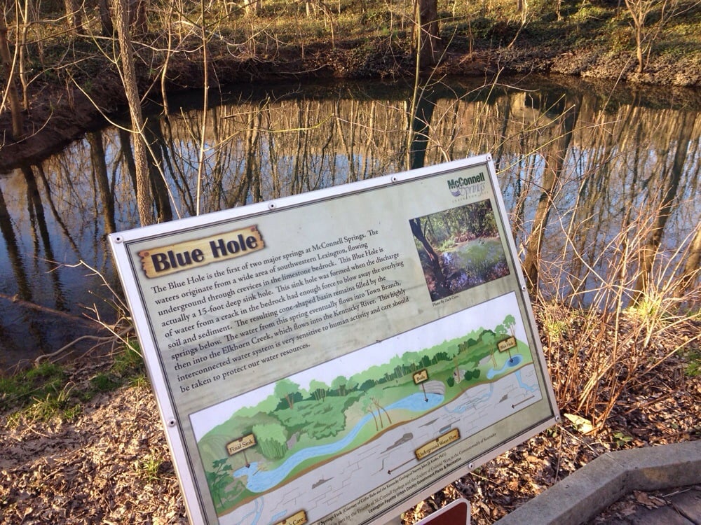 McConnell Springs 38 Photos & 11 Reviews Parks 416 Rebmann Ln
