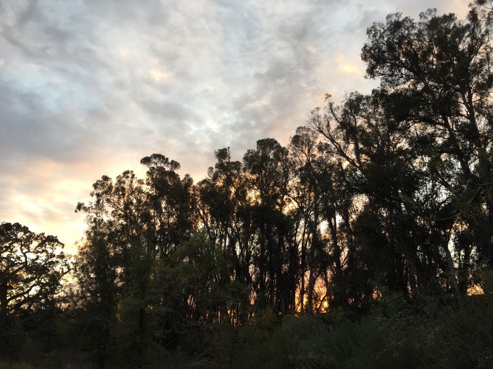 Tassajara Creek Regional Park 43 Photos & 12 Reviews Hiking 6100