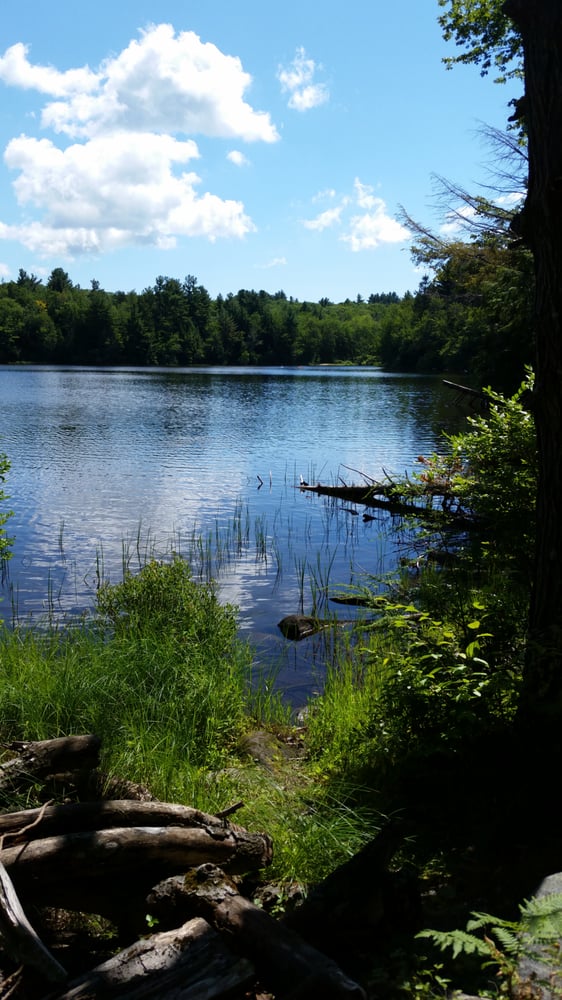 DAR State Forest 18 Photos Lakes 78 Cape St Rte 112, Goshen, MA
