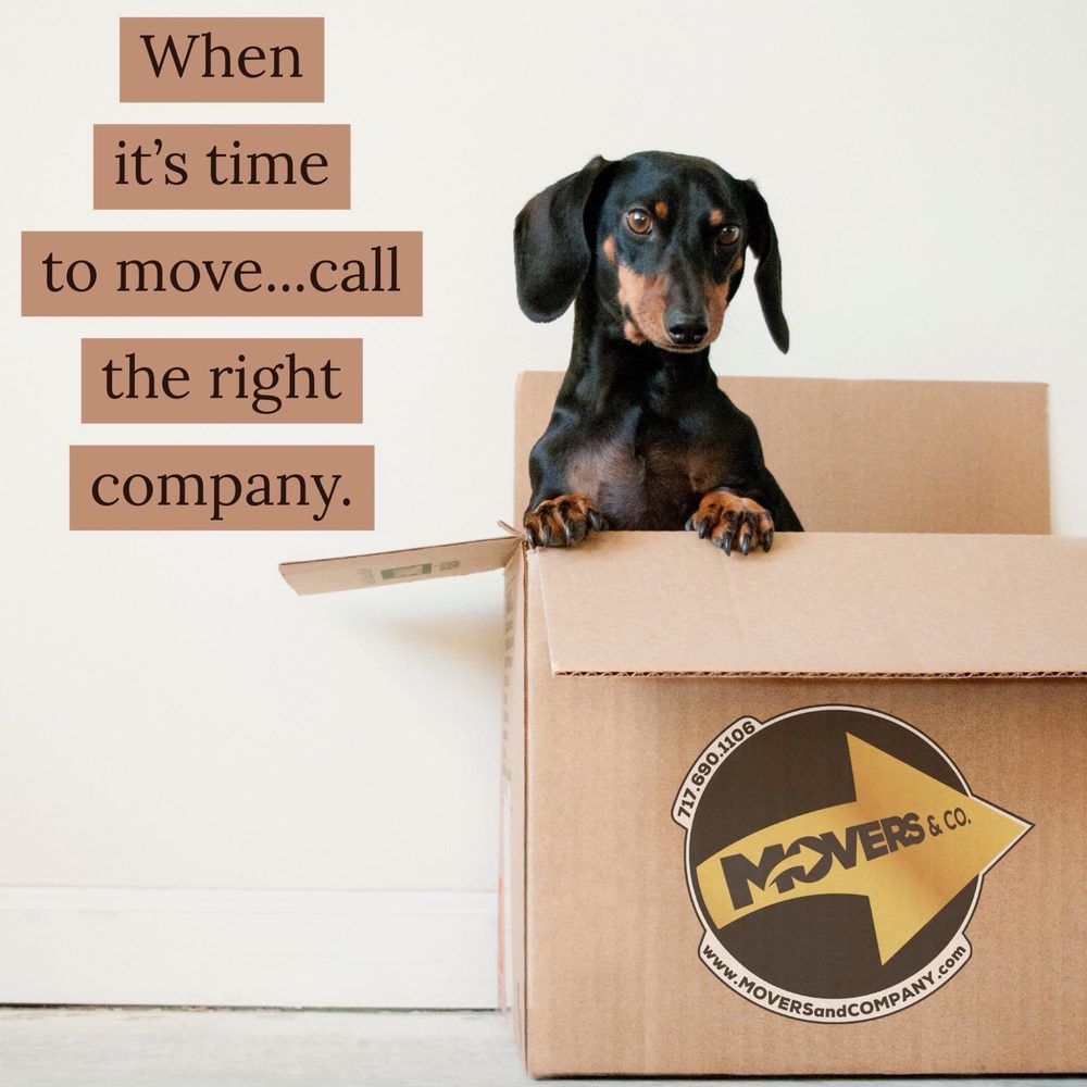 Movers & Company