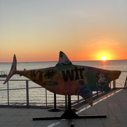 Best Waterfront Restaurants In Tampa Fl Last Updated December Category
