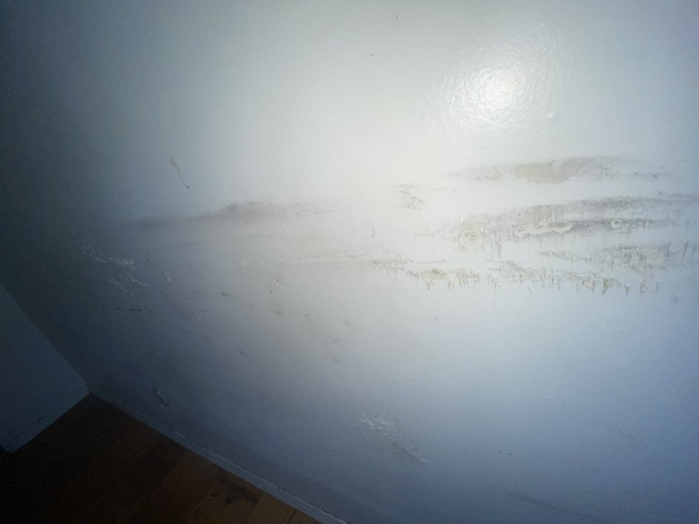 DND Property Services