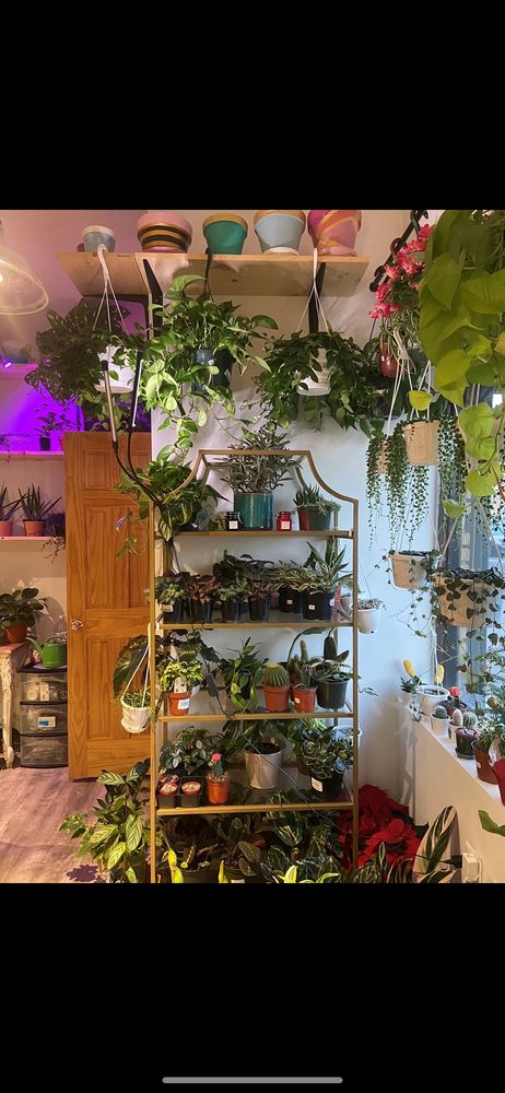 Brooklyn's Green Boutique