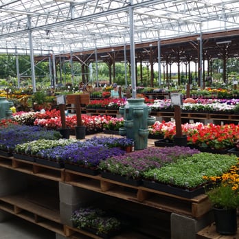 Green Acres Nursery Supply 407 Photos 98 Reviews Gardening Photo Of Green Acres Nursery Supply Elk Grove Ca United States