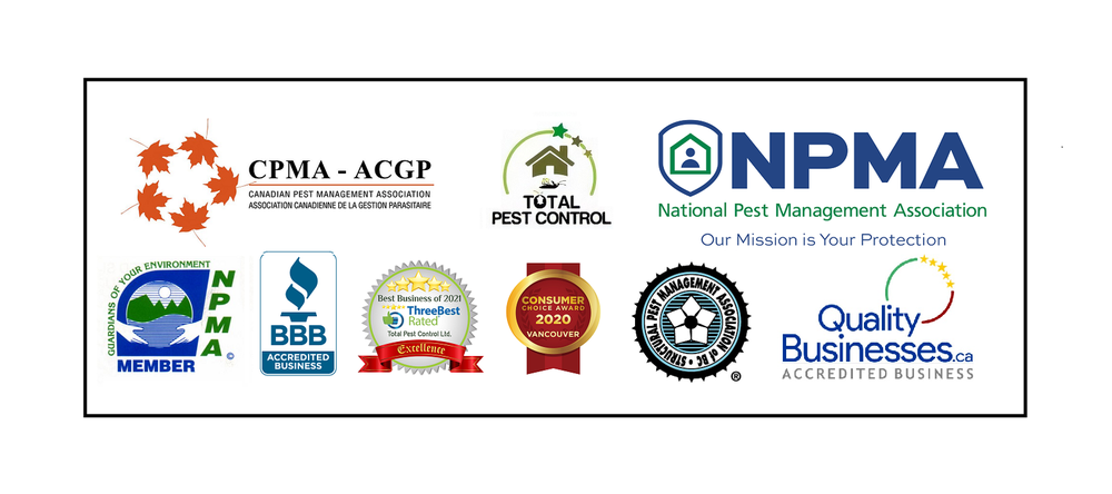 Total Pest Control
