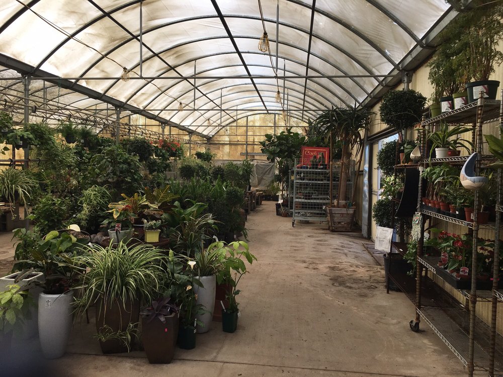 Whitfill Nursery The Best 45 Photos 47 Reviews Nurseries Whitfill