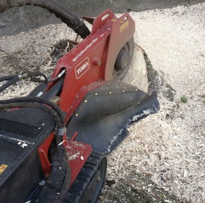 Redline Stump Grinding