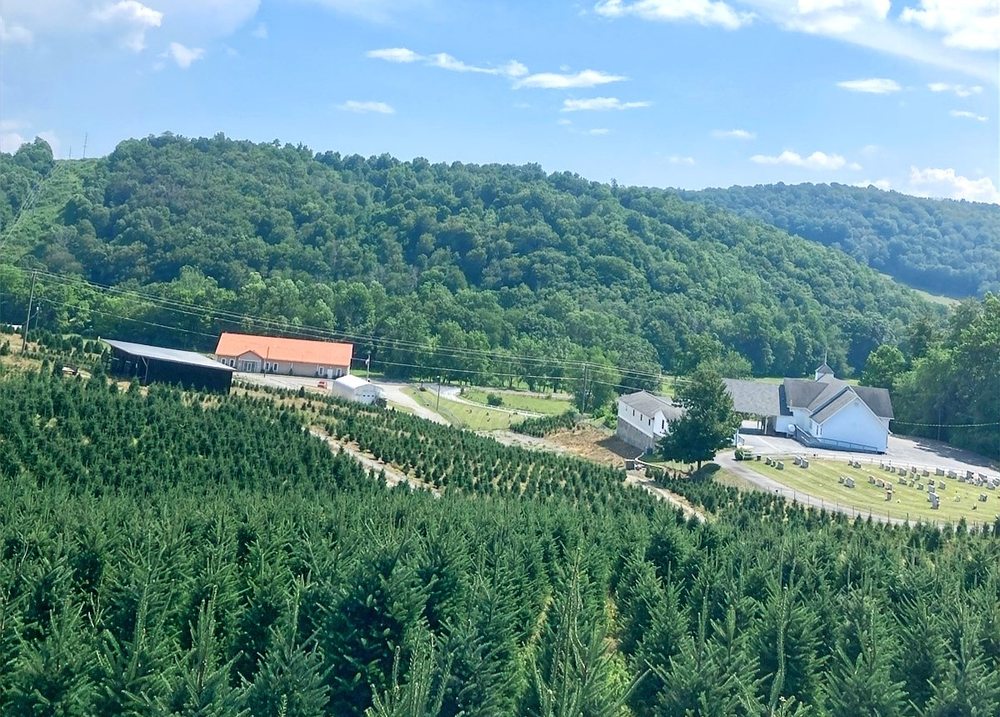 Clawson's Choose & Cut