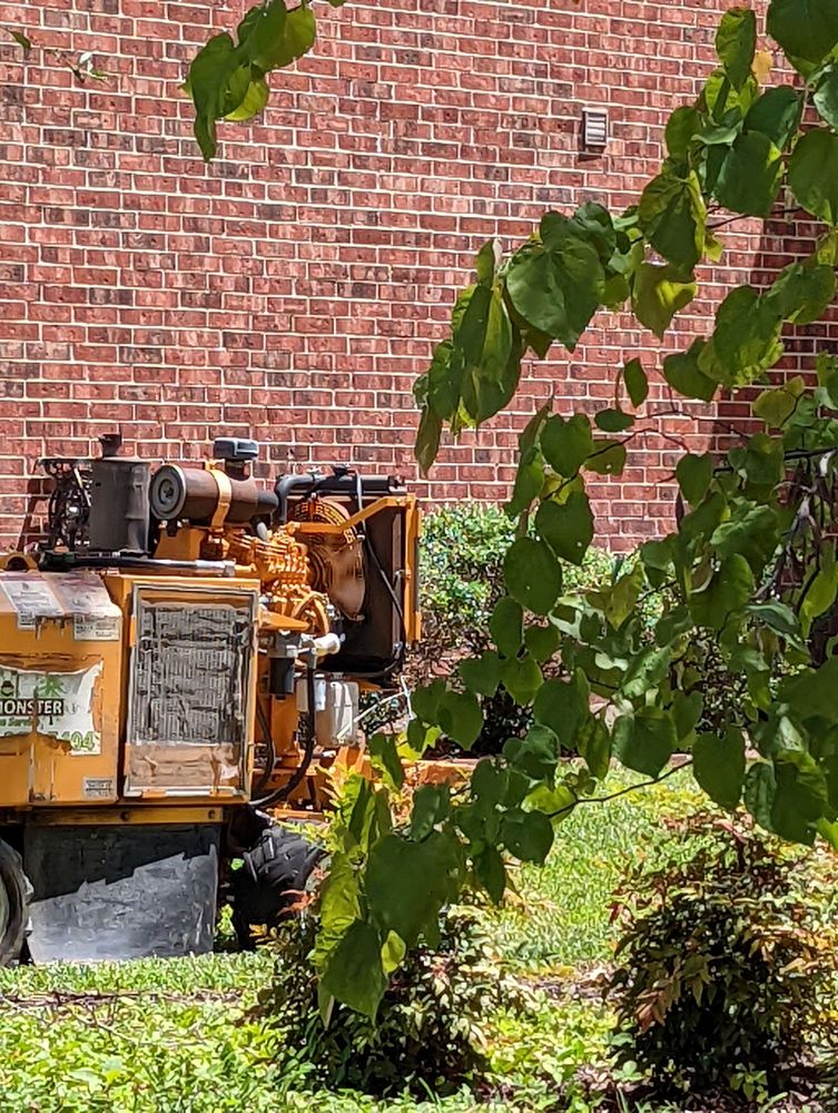 Monster Tree Service of North Dallas
