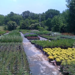 Hewitt Garden Design Center Nurseries Gardening 2525 Photo Of Hewitt Garden Design Center Franklin Tn United States